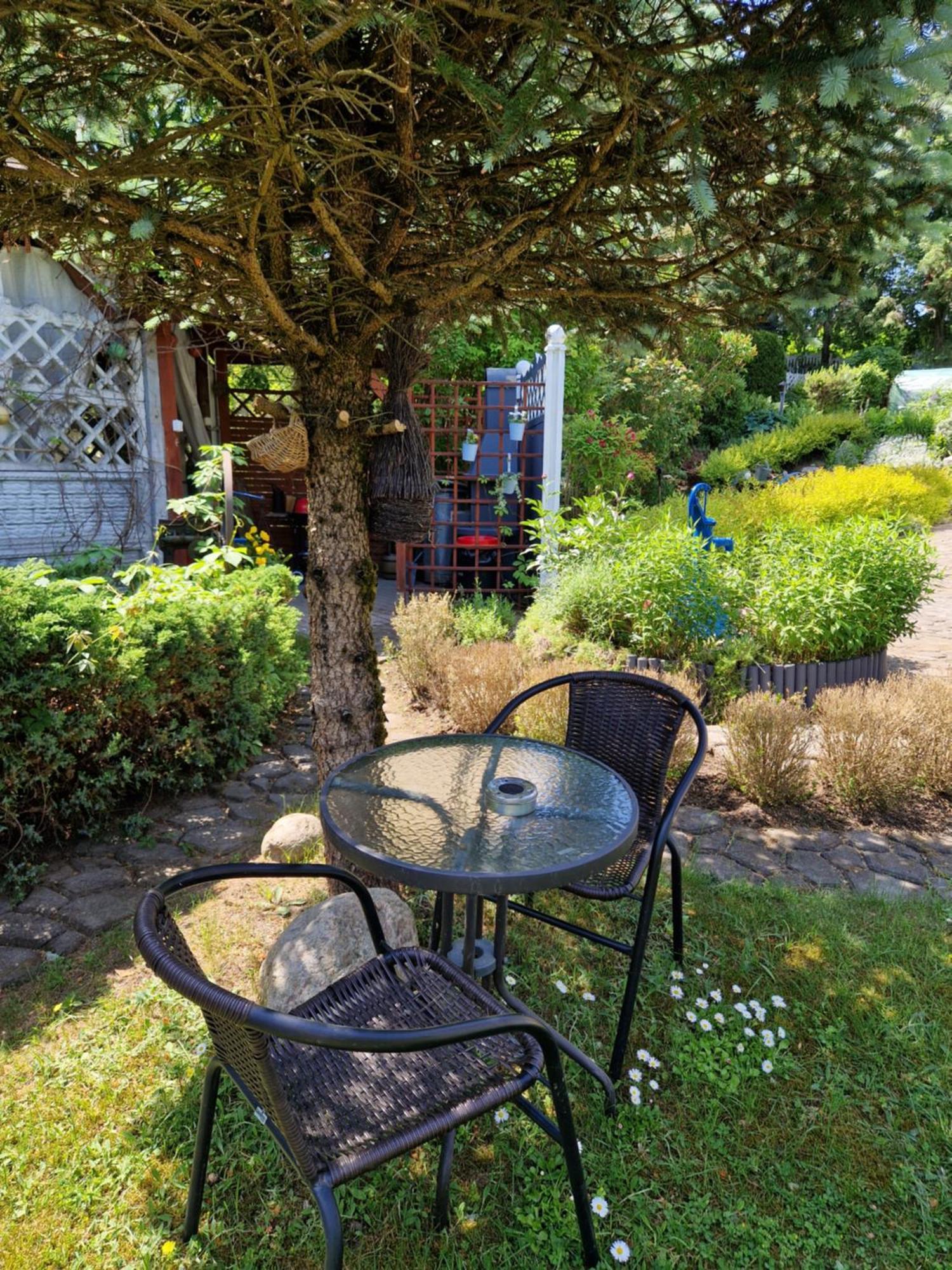 Haus Oberberg - Pokoje Ozonowane - Orly Turystyki 2024 Wilkasy Extérieur photo