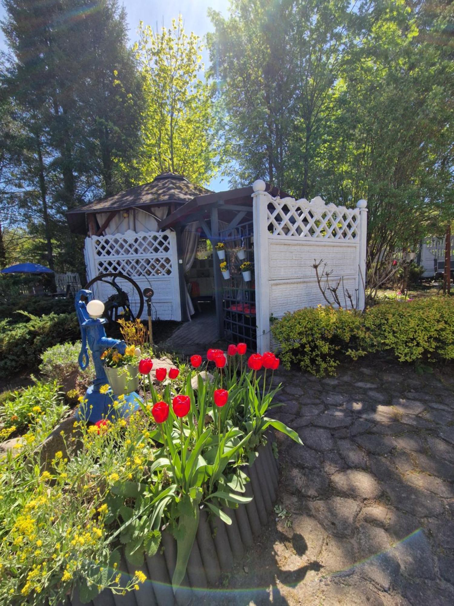 Haus Oberberg - Pokoje Ozonowane - Orly Turystyki 2024 Wilkasy Extérieur photo